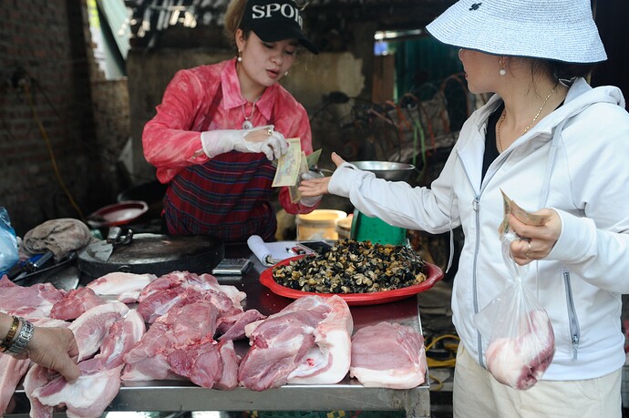 Vi sao gia lon hoi xuong thap nhat 1 nam, gia thit ngoai cho van dat? anh 3
