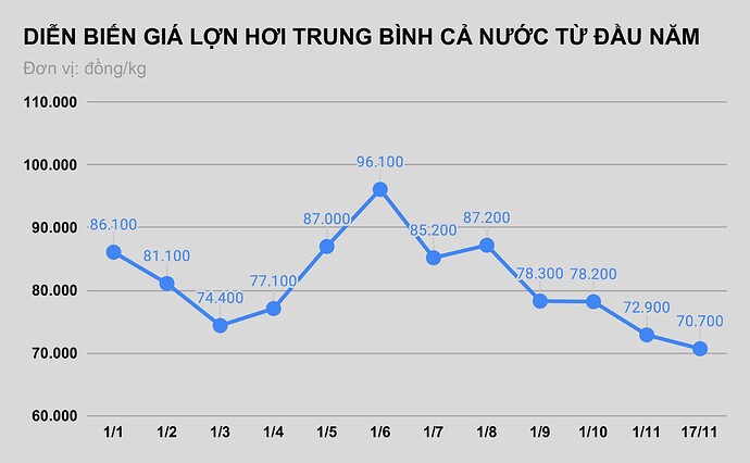 Vi sao gia lon hoi xuong thap nhat 1 nam, gia thit ngoai cho van dat? anh 2